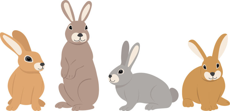 set of rabbits on a white background, isolated vector