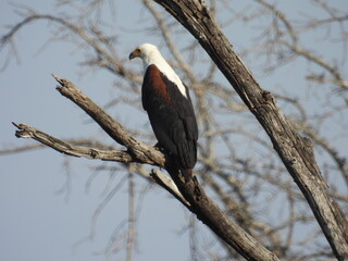 Kruger national park visit 