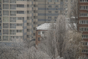 Houses and tree branches during heavy snowfall in the city in early autumn, weather and weather phenomena, environment