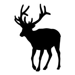 deer silhouette