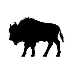 Obraz na płótnie Canvas silhouette of bull