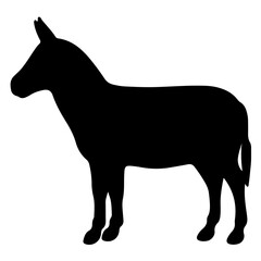 silhouette of a horse
