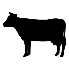 silhouette of a cow