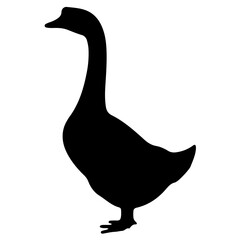 goose isolated on white © Arthit