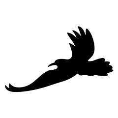 silhouette of flying bird