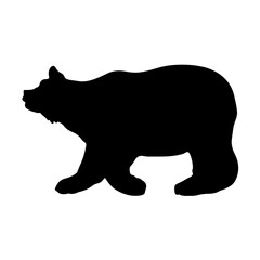 Fototapeta premium bear silhouette