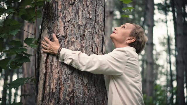 Senior caucasian woman hugging a tree in the park.