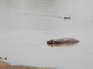Kruger national park visit 