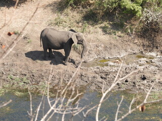 Kruger national park 