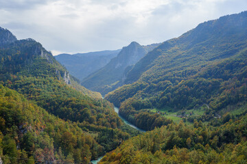 mountain river in autumn