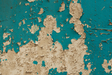 Grunge texture of old cracked peeling blue paint