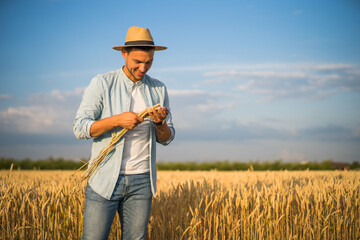 Naklejka na ściany i meble Happy farmer is standing in his growing wheat field and examining crops after successful sowing. 