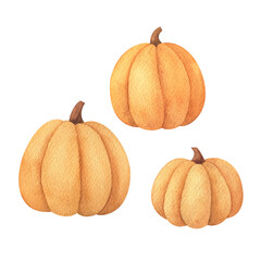 Watercolor pumpkin clipart set. Orange autumn vegetable of different shapes. The pumpkin pattern is isolated. Illustration of the harvest. Healthy natural food. Seasonal decorative element