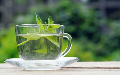 Medicinal herbal tea in a glass cup with mint leaves on a natural background.