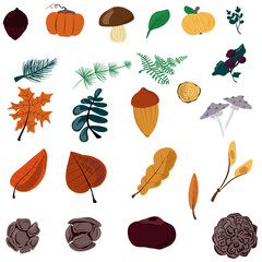 Autumn set of isolated objects leaves harvest and cones