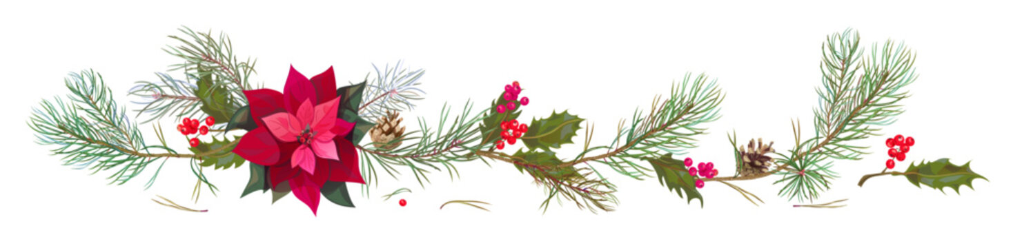 Panoramic view with red poinsettia flower (New Year Star), holly berry, pine branches, cones. Horizontal border for Christmas on white background, realistic digital draw, watercolor style, vector