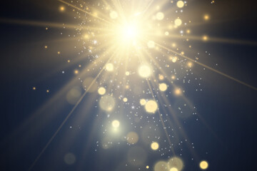 	
Brilliant gold dust vector shine. Glittering shiny ornaments for background. Vector illustration.	