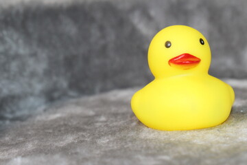 ゴム製アヒル © SHINO