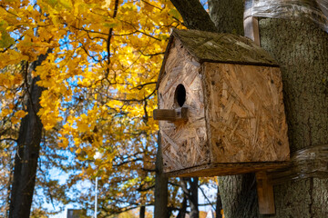 birdhouse in autumn park