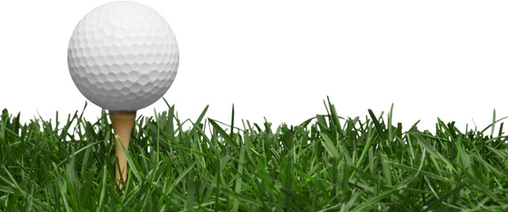 golf ball with a golf tee on a grass - obrazy, fototapety, plakaty