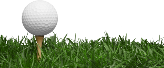 golf ball with a golf tee on a grass