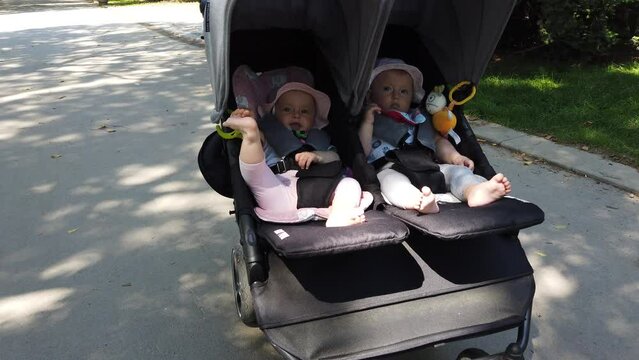 Adorable twin baby girls in stroller, baby carriage in the park