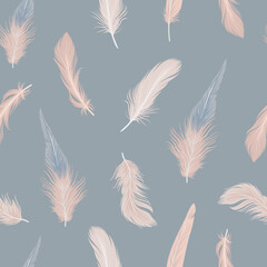Seamless pattern with delicate feathers - 536972733