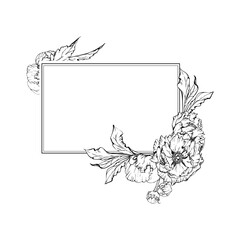 Hand drawn vector square frame wreath arrangement with peony flowers, buds and leaves. Isolated on white background. Design for invitations, wedding or greeting cards, wallpaper, print, textile