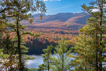 Magnificent autumn landscapes near a lake in the Canadian forest in the province of Quebec