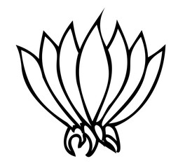 Line art Plant illustration. Outline floral design. PNG with transparent background. 