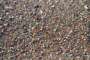 Sea stones