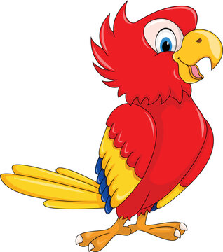 cute red parrot smiling friendly cartoon vector illustration