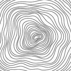Abstract tree rings. Png topographic map concept background. Thin black lines on white
