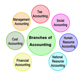 Seven Branches of Accounting