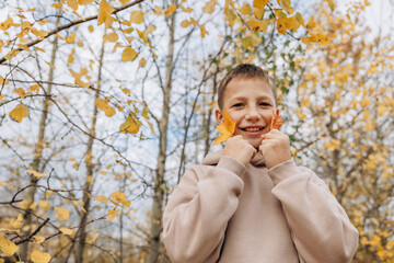 Portrait of smiling teenager boy holding yellow autumn maple leaves in his hand outdoors. Happy child having fun on walking in autumn park. Selective focus