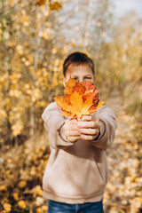 Teenager boy hiding his face behind maple leaves. Child holding yellow autumn leaves in his hand. Teen walking having fun in autumn park. Selective focus