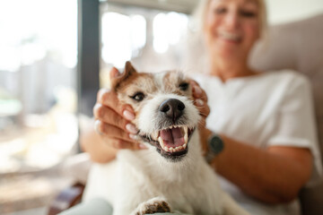 A middle-aged woman is resting in a chair with her pet and look out the window. The senior is strocking the dog