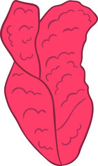 Human organ thymus, great design for any purposes. Medicine, healthcare concept.