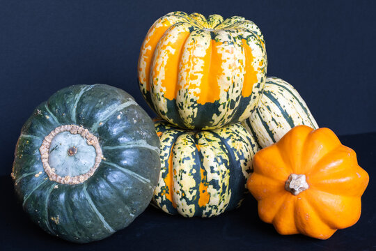 A Colorful Harvest Of Kabocha Squash, Carnival Squash, Delicata Squash, And Gold Acorn Squash.