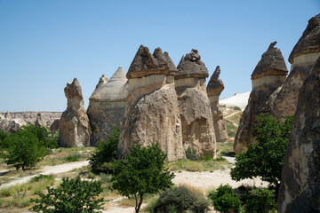 Landscape of the pasabag valley in cappadocia with the typical rock formations of the place.