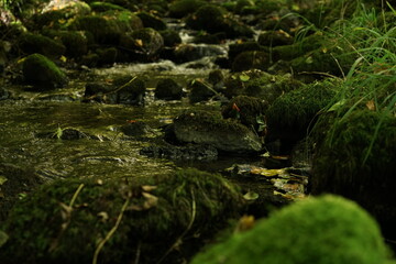 Fluss mit Laub und Blättern nach einem Fließgewässer