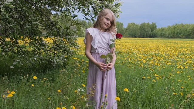 Beautiful blond little girl with a rose in her hand is in a flowery meadow. Static view