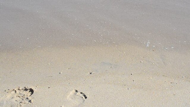 The inscription on the sand in August, a wave washed