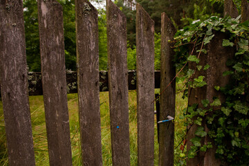 old wooden gate