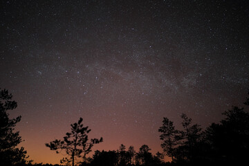 Naklejka premium Night scene in the forest, night starry sky with milky way, Viru swamp.
