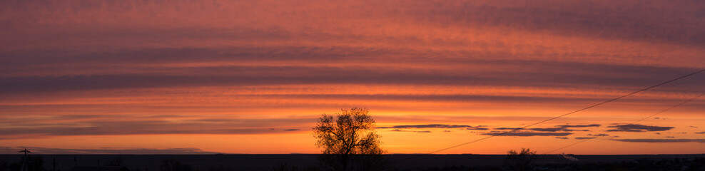 Fototapeta na wymiar Landscape at sunset. Tragic gloomy sky. Panorama. Crimson twilight.