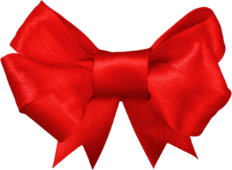 Red satin gift bow isolated on white background