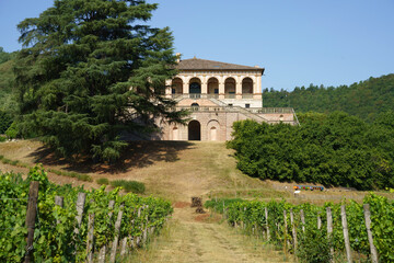 Fototapeta premium Summer landscape on the Colli Euganei, Padua, Italy