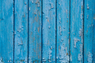 old wooden doors in turquoise with peeled paint with texture