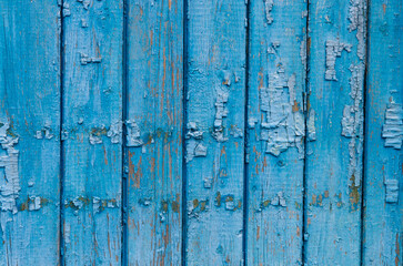 Fototapeta na wymiar old wooden doors in turquoise with peeled paint with texture